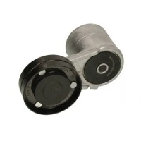 Натяжитель ремня Renault Premium SKF