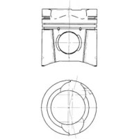 Поршень MAN F2000 D2876 LF02